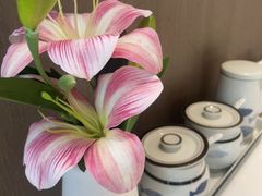 -船歌·鱼水饺青岛菜(枫蓝国际购物中心店)