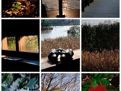 -华侨城湿地公园