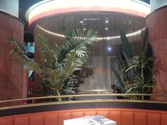 -鼎原力量东北吊炉烧烤(临河街店)