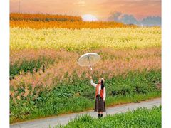 -三圣花乡旅游区