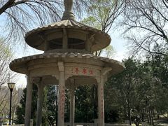 -玲珑塔公园