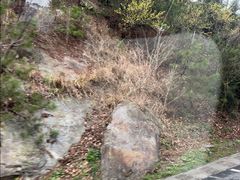 -庐山风景区花径公园