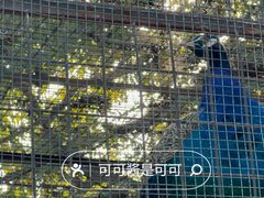 -保定市动物园