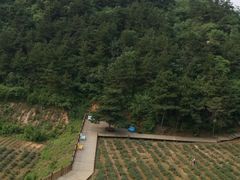 -云峰山自然风景区