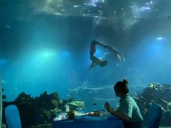 -海棠湾洲际-涛·海底餐厅·美人鱼·自助餐·海底隧道