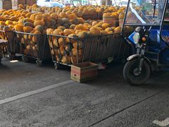 -东方鼎信农副产品交易中心