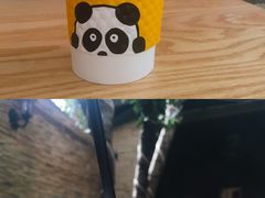 -熊猫一间店欧式奶茶铺