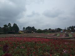-保利石象湖景区