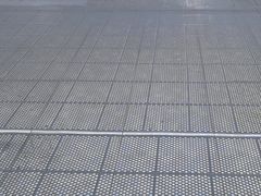 -Lucy水世界游泳学校(望京馆)