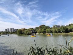 -八大山人梅湖景区