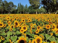 -长白岛森林公园