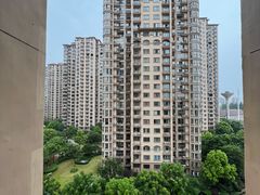 -中南·世纪锦城