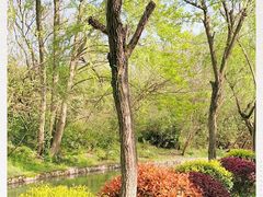 -合肥三国新城遗址公园