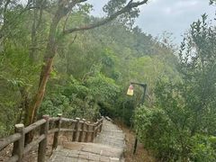 -青城山