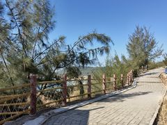 -广东惠东海龟国家级自然保护区