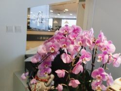 -DX HAIR SALON·发现未知美发沙龙