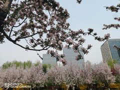 -海棠花溪(元大都城垣遗址公园)