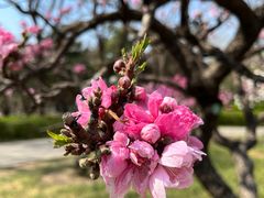 -玲珑塔公园
