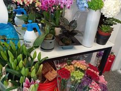 -FEI FEI FLOWER鲜花店·气球派对·宝宝宴布置(虹口德必运动Loft店)