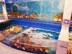 水产区-乔哥铭洋海鲜自助(皇城恒隆广场店)