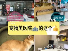 -中农大我爱我爱动物医院·核磁CT·猫病·24小时夜诊中心(石佛营店)