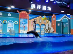 -重庆欢乐海底世界