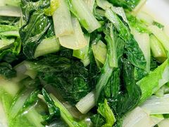-小小饭店·休闲农庄·安吉松树林里的农家菜