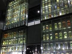 -广东中医药博物馆