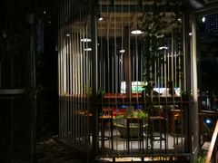 -Rainforest
