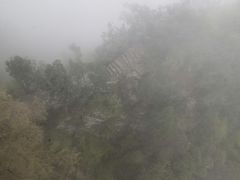 -少华山国家森林公园