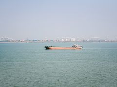 -大湾区中央湿地公园
