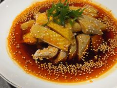 -新渝城·川菜·火锅(区庄店)