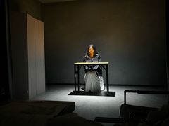-叁拾壹丨浮世绘x壹拾叁沉浸演绎剧场