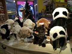 -小时光咖啡馆(开森度假森林店)