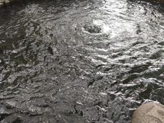 -百脉泉景区