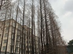 -棕榈岛海鲜自助餐厅(虹桥迎宾馆店)