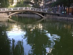 -团结湖公园