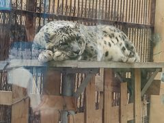 -青藏高原野生动物园