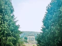 -武汉大学-樱园