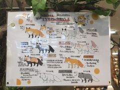 -宫城藏王狐狸村