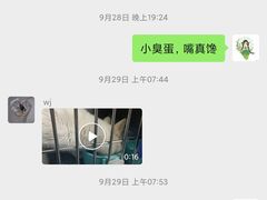 -特一安24小时宠物医院·骨科·中兽医