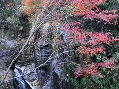-大鄣山卧龙谷景区