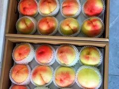 -南汇水蜜桃采摘(大团店)