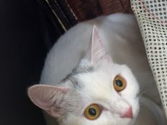 -美联众合动物医院·24h转诊中心