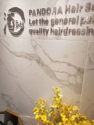 -潘多拉Hairsalon