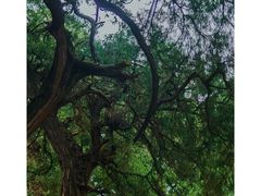 -剑门关风景区