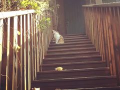 -巴金故居