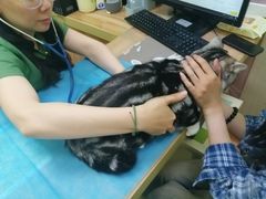 -瑞鹏宠物医院·宠保定点·心脏科·内科(御桥分院)