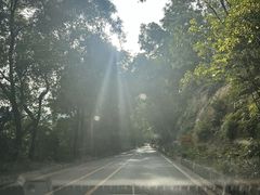 -东莞市大岭山森林公园