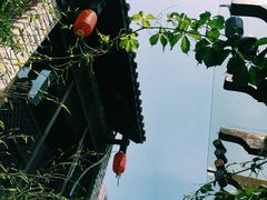 -慢丽江·云南野生菌土鸡锅(付家庄店)